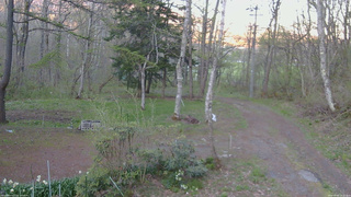 長野県菅平高原 ゆたか山荘 坂上 2026/05/05 18:15