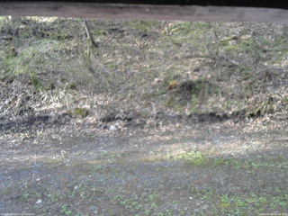 長野県菅平高原 ゆたか山荘 東側(坂下) 2026/05/06 06:30