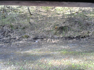 長野県菅平高原 ゆたか山荘 東側(坂下) 2026/05/06 06:45