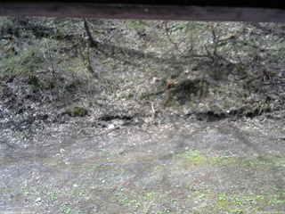 長野県菅平高原 ゆたか山荘 東側(坂下) 2026/05/06 09:00