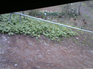 長野県菅平高原 ゆたか山荘 駐車場 2026/05/06 05:15