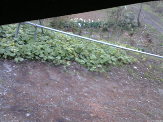 長野県菅平高原 ゆたか山荘 駐車場 2026/05/06 05:30