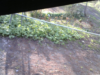長野県菅平高原 ゆたか山荘 駐車場 2026/05/06 05:45