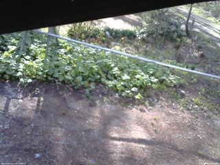 長野県菅平高原 ゆたか山荘 駐車場 2026/05/06 06:30