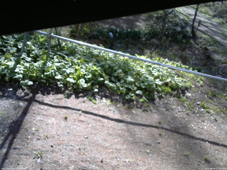長野県菅平高原 ゆたか山荘 駐車場 2026/05/06 07:15