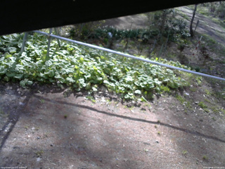 長野県菅平高原 ゆたか山荘 駐車場 2026/05/06 07:30