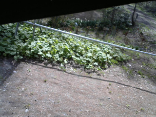 長野県菅平高原 ゆたか山荘 駐車場 2026/05/06 08:00