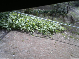 長野県菅平高原 ゆたか山荘 駐車場 2026/05/06 08:15