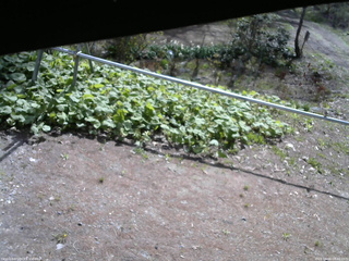 長野県菅平高原 ゆたか山荘 駐車場 2026/05/06 08:45