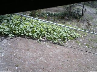 長野県菅平高原 ゆたか山荘 駐車場 2026/05/06 09:00