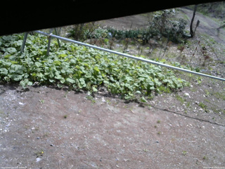 長野県菅平高原 ゆたか山荘 駐車場 2026/05/06 09:15