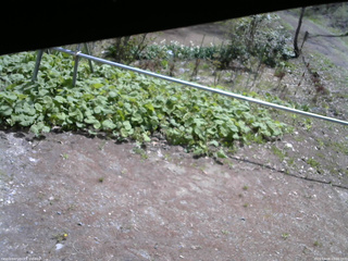 長野県菅平高原 ゆたか山荘 駐車場 2026/05/06 10:00