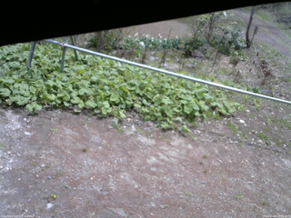 長野県菅平高原 ゆたか山荘 駐車場 2026/05/06 10:30
