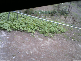 長野県菅平高原 ゆたか山荘 駐車場 2026/05/06 11:15