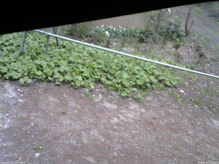 長野県菅平高原 ゆたか山荘 駐車場 2026/05/06 11:45