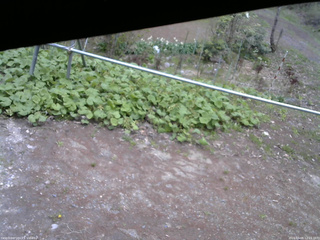 長野県菅平高原 ゆたか山荘 駐車場 2026/05/06 12:15