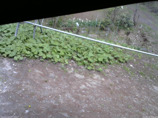 長野県菅平高原 ゆたか山荘 駐車場 2026/05/06 14:15