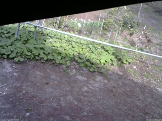 長野県菅平高原 ゆたか山荘 駐車場 2026/05/06 15:45