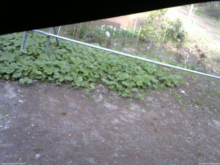 長野県菅平高原 ゆたか山荘 駐車場 2026/05/06 16:45