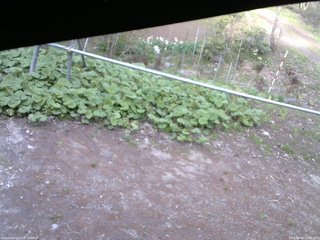長野県菅平高原 ゆたか山荘 駐車場 2026/05/06 17:00