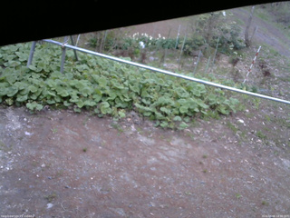 長野県菅平高原 ゆたか山荘 駐車場 2026/05/06 18:30