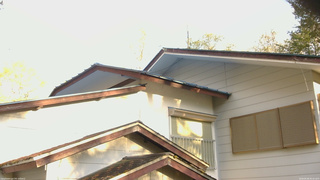 長野県菅平高原 ゆたか山荘 駐車場奥 2026/05/06 05:45