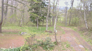 長野県菅平高原 ゆたか山荘 坂上 2026/05/06 13:00