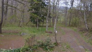 長野県菅平高原 ゆたか山荘 坂上 2026/05/06 13:15