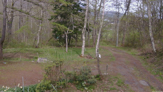 長野県菅平高原 ゆたか山荘 坂上 2026/05/06 14:45