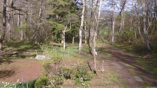 長野県菅平高原 ゆたか山荘 坂上 2026/05/06 16:00