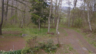 長野県菅平高原 ゆたか山荘 坂上 2026/05/06 17:30