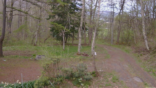 長野県菅平高原 ゆたか山荘 坂上 2026/05/06 17:45