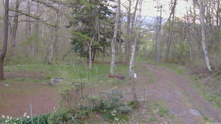 長野県菅平高原 ゆたか山荘 坂上 2026/05/06 18:30