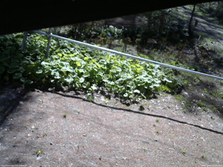 長野県菅平高原 ゆたか山荘 駐車場 2026/05/07 08:00