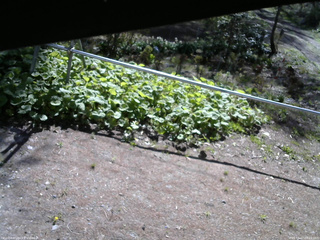 長野県菅平高原 ゆたか山荘 駐車場 2026/05/07 08:15