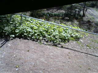 長野県菅平高原 ゆたか山荘 駐車場 2026/05/07 08:30