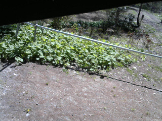 長野県菅平高原 ゆたか山荘 駐車場 2026/05/07 09:00