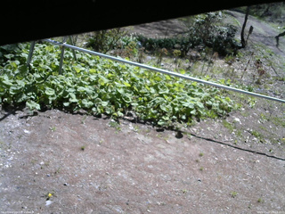 長野県菅平高原 ゆたか山荘 駐車場 2026/05/07 09:15