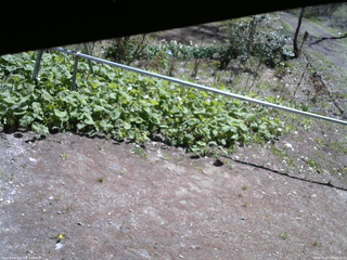 長野県菅平高原 ゆたか山荘 駐車場 2026/05/07 09:45