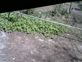 長野県菅平高原 ゆたか山荘 駐車場 2026/05/07 12:00