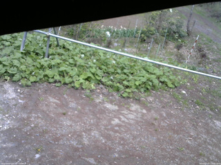 長野県菅平高原 ゆたか山荘 駐車場 2026/05/07 13:30