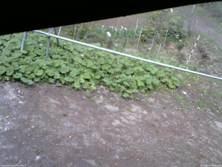 長野県菅平高原 ゆたか山荘 駐車場 2026/05/07 16:00