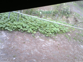 長野県菅平高原 ゆたか山荘 駐車場 2026/05/07 17:15
