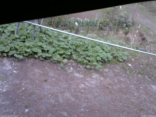 長野県菅平高原 ゆたか山荘 駐車場 2026/05/07 18:15