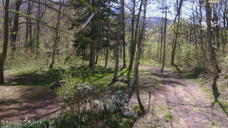 長野県菅平高原 ゆたか山荘 坂上 2026/05/07 08:30