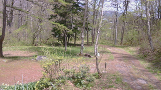 長野県菅平高原 ゆたか山荘 坂上 2026/05/07 12:30