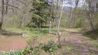 長野県菅平高原 ゆたか山荘 坂上 2026/05/07 13:15
