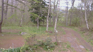 長野県菅平高原 ゆたか山荘 坂上 2026/05/07 14:30