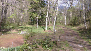 長野県菅平高原 ゆたか山荘 坂上 2026/05/07 15:00