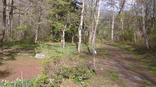 長野県菅平高原 ゆたか山荘 坂上 2026/05/07 15:45